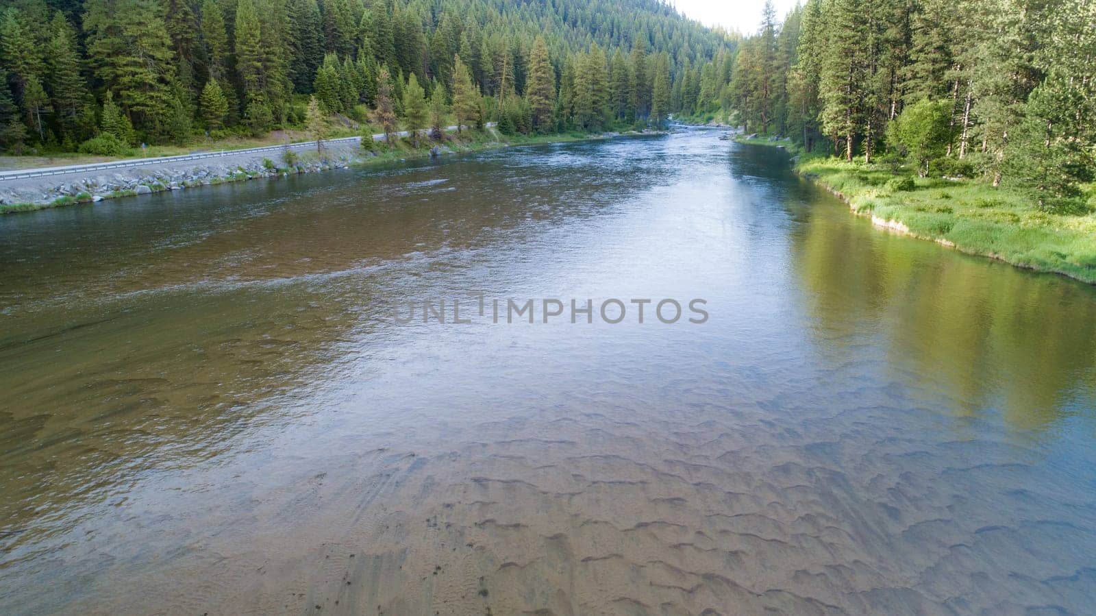 A tranquil river flows gently through a lush forest setting, surrounded by vibrant pine trees and serene pathways, evoking a sense of peace and natural beauty.