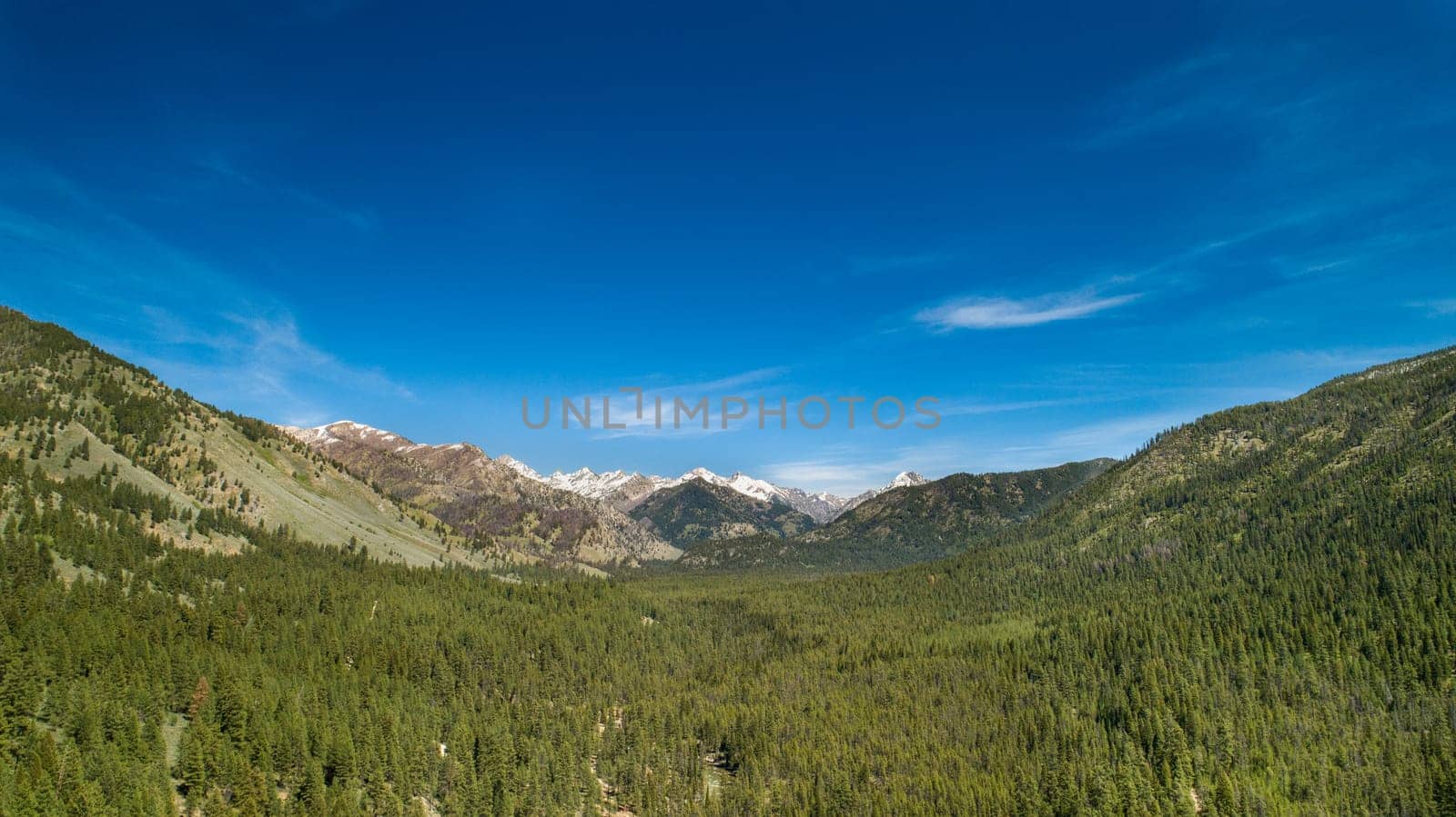 A breathtaking view of a vast mountain range with dense forests under a clear blue sky, capturing the beauty of nature.