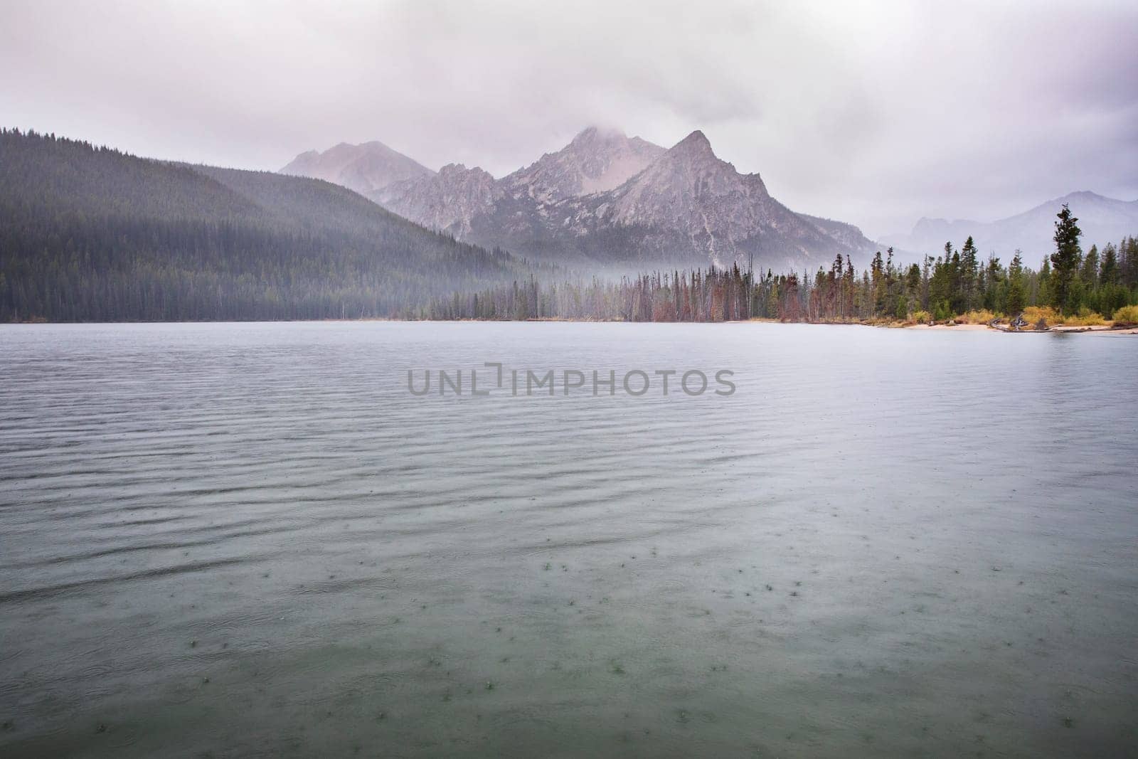A tranquil mountain lake surrounded by mist-covered forests and towering peaks in a serene, overcast atmosphere, showcasing the untouched beauty of nature.