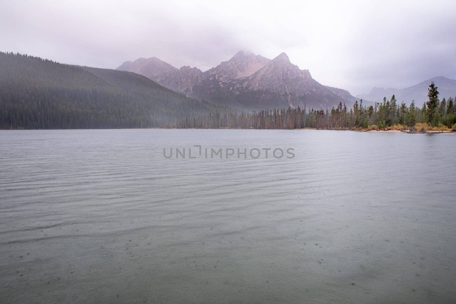A tranquil mountain lake surrounded by mist-covered forests and towering peaks in a serene, overcast atmosphere, showcasing the untouched beauty of nature.