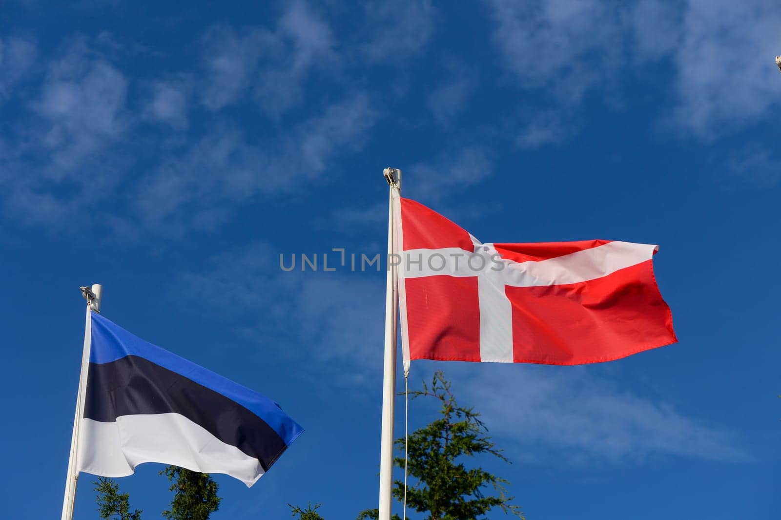 Banners of Estonia and Denmark flutter against a backdrop of fluffy clouds and vibrant blue, celebrating unity.