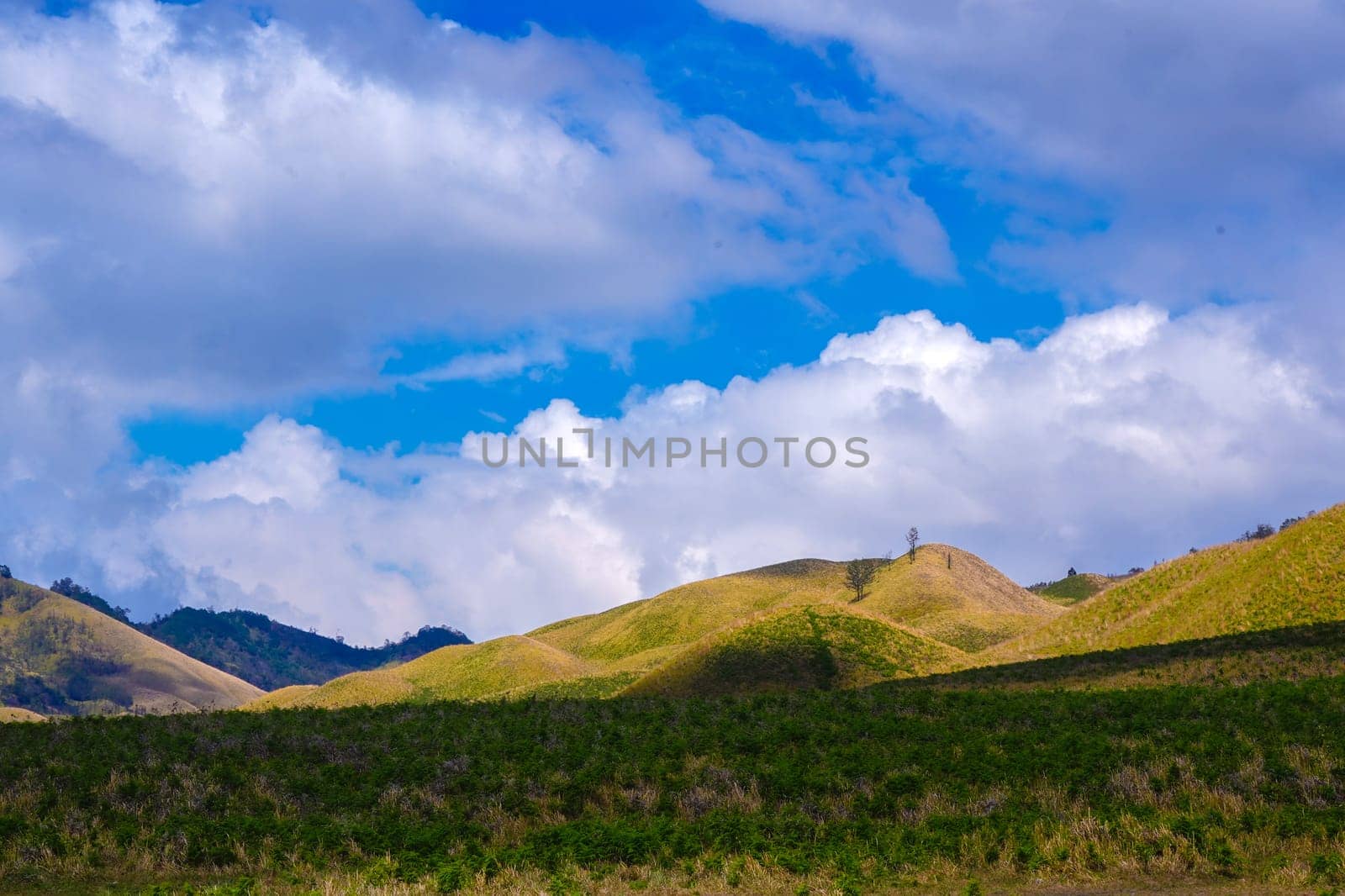 A picturesque landscape of rolling hills with vibrant green grass under a dramatic blue sky and fluffy white clouds.