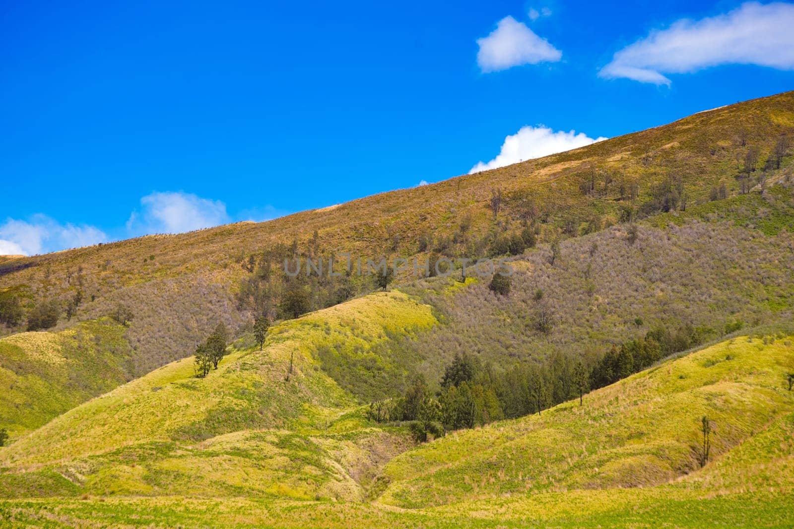 A picturesque landscape of rolling hills with vibrant green grass under a dramatic blue sky and fluffy white clouds.