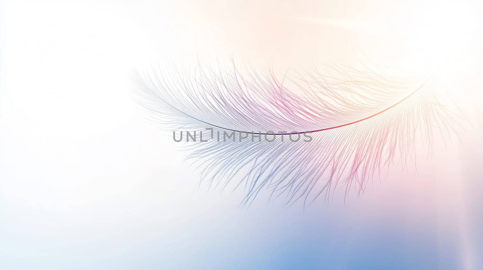 Single white feather is floating on a light pastel color background with copy space