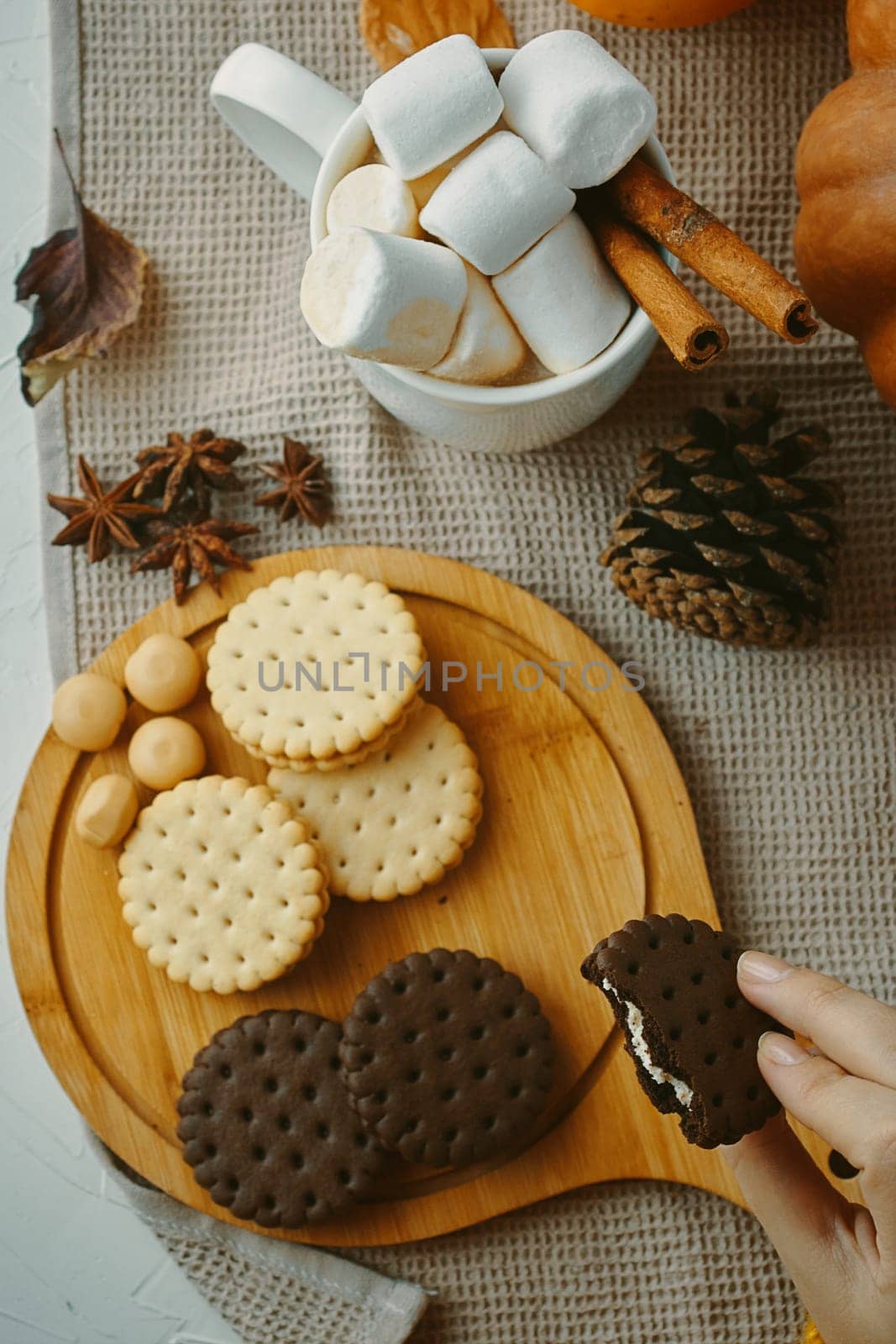 A cozy winter scene featuring marshmallows, biscuits, and chocolate sandwiches, perfect for festive snacking.