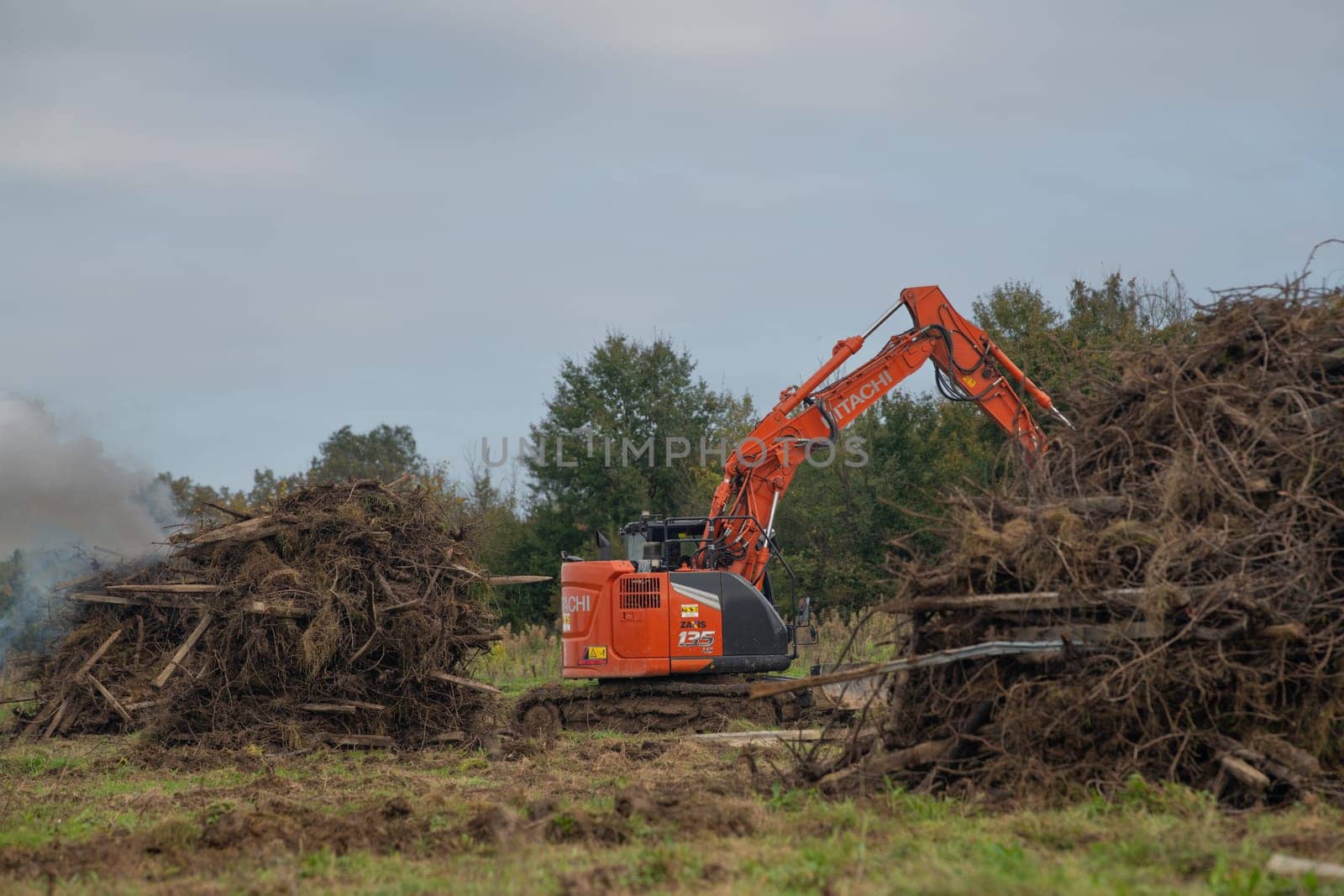 FRANCE, GIRONDE, NAUJAN-ET-POSTIAC, BORDEAUX VINEYARD UPROOTING CAMPAIGN WITH BACKHOE LOADER. High quality photo