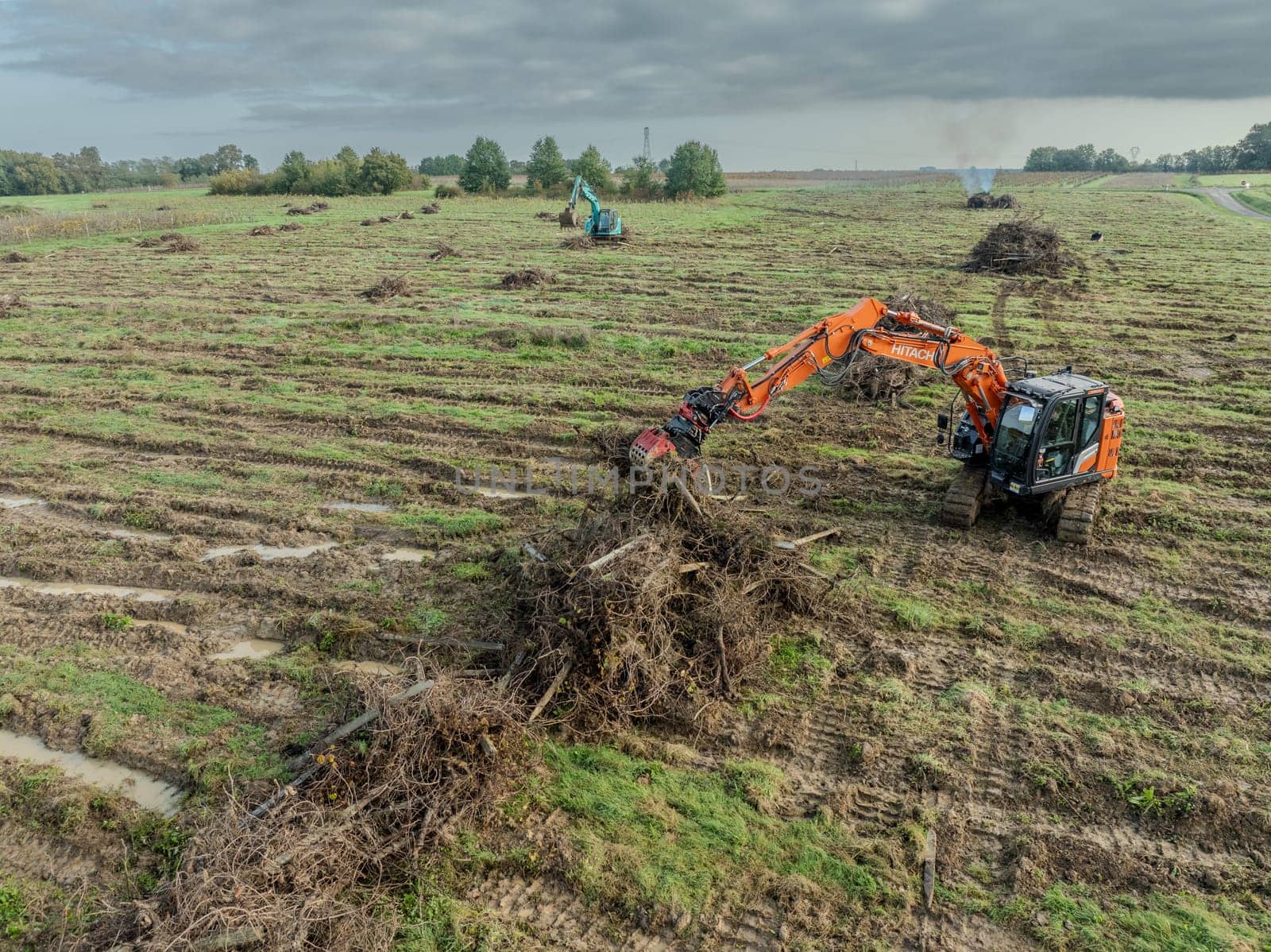FRANCE, GIRONDE, NAUJAN-ET-POSTIAC, BORDEAUX VINEYARD UPROOTING CAMPAIGN WITH BACKHOE LOADER. High quality photo