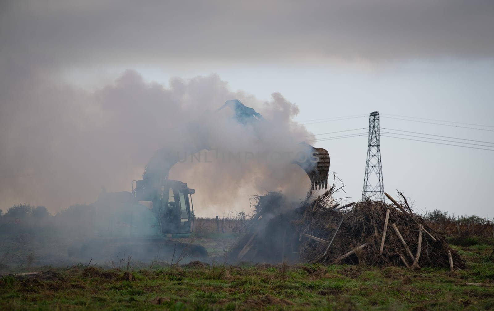 FRANCE, GIRONDE, NAUJAN-ET-POSTIAC, BORDEAUX VINEYARD UPROOTING CAMPAIGN WITH BACKHOE LOADER. High quality photo