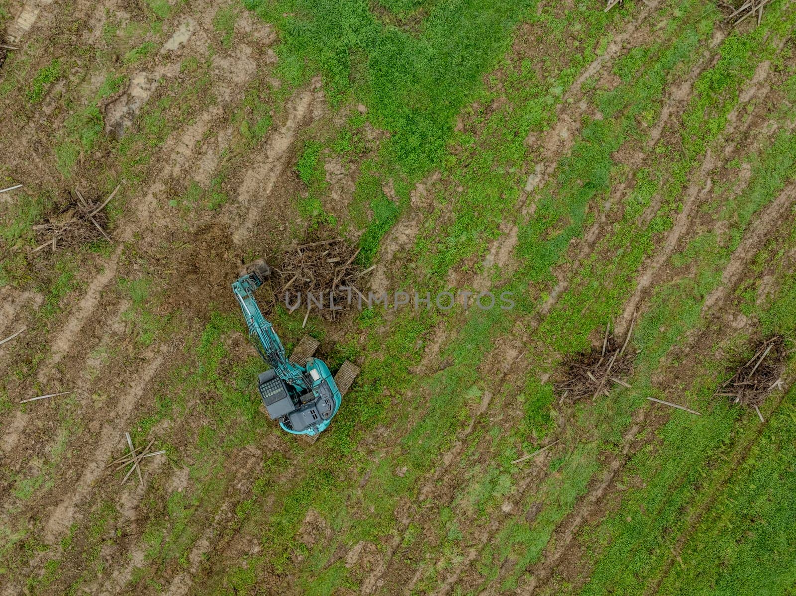 FRANCE, GIRONDE, NAUJAN-ET-POSTIAC, BORDEAUX VINEYARD UPROOTING CAMPAIGN WITH BACKHOE LOADER. High quality photo