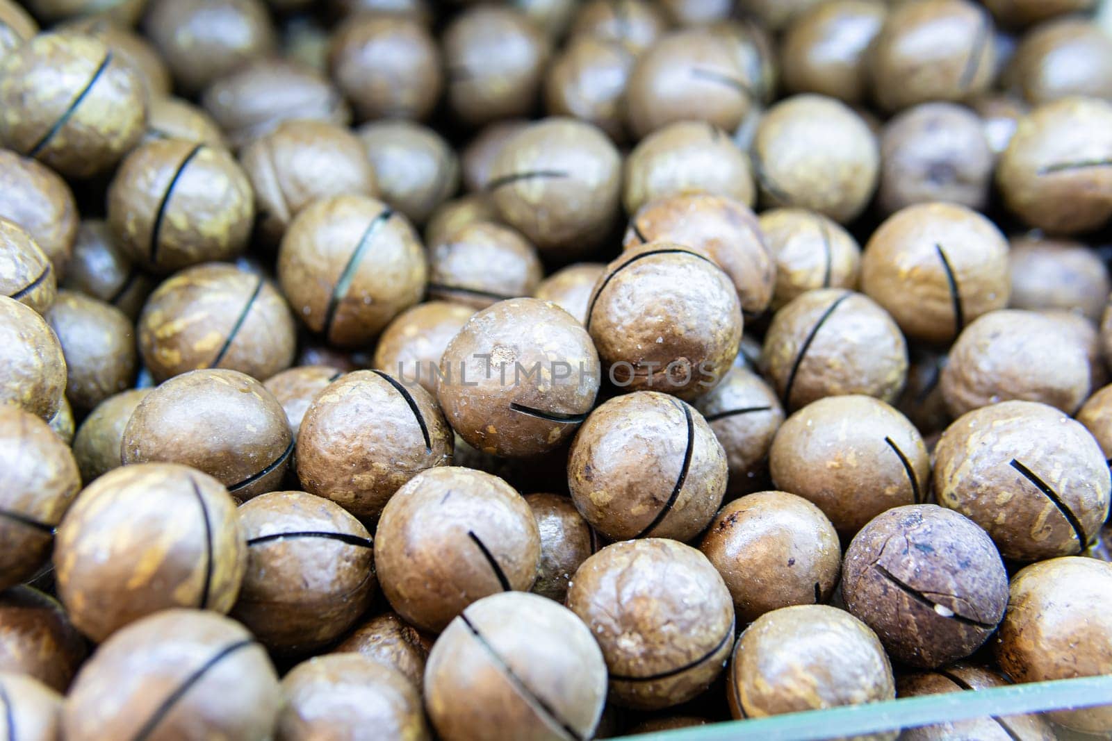 food cooking people ingredient - macadamia no organic nut freshness snack nutshell seed