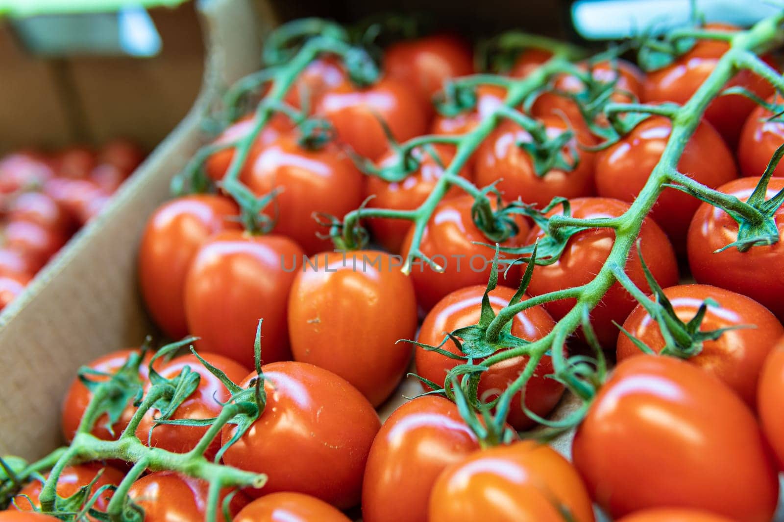 red produce fresh organic nature raw market agriculture vegetarian food vegetable juicy tomato