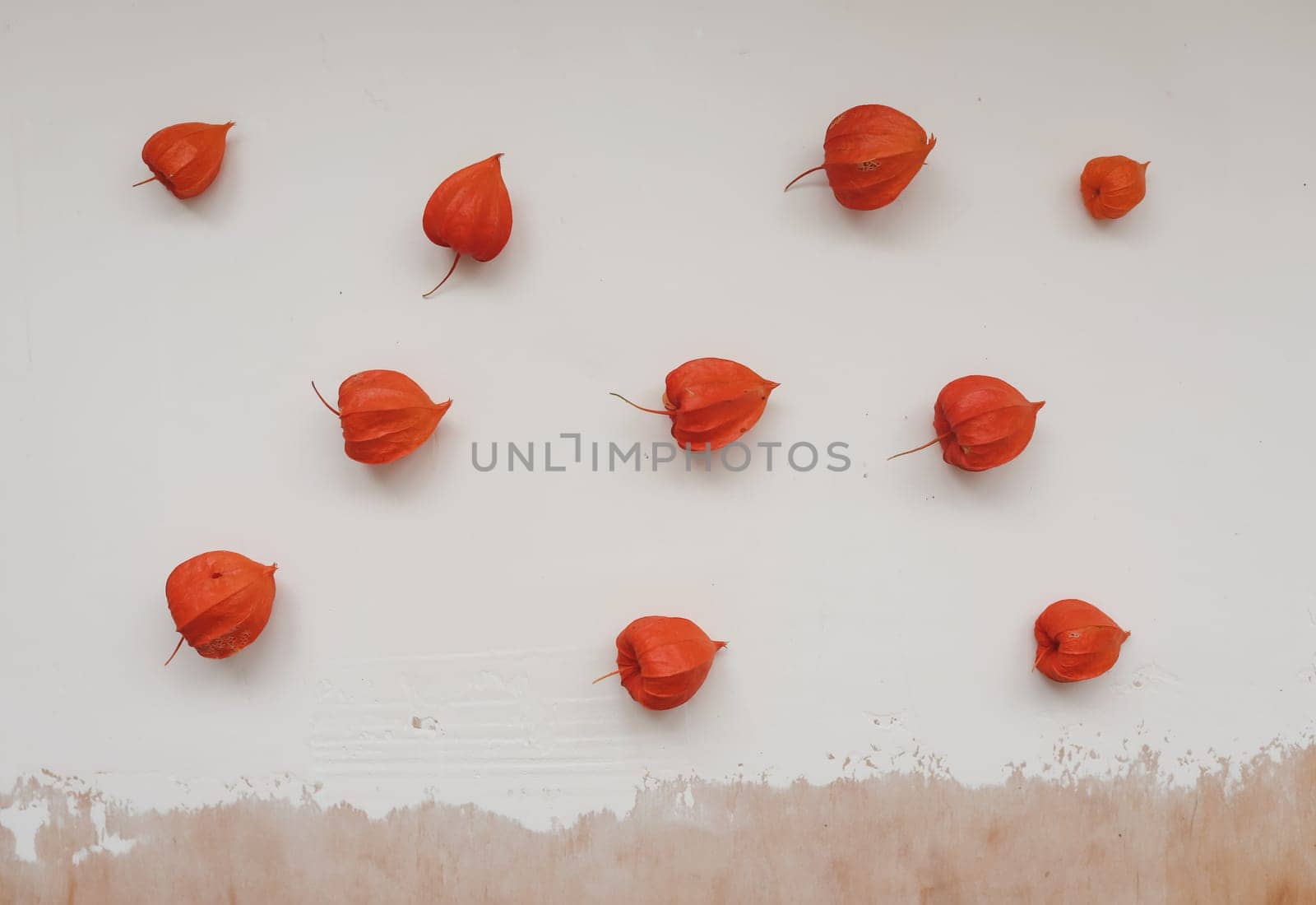 autumn frame with red physalis flowers on white textured background, top view.