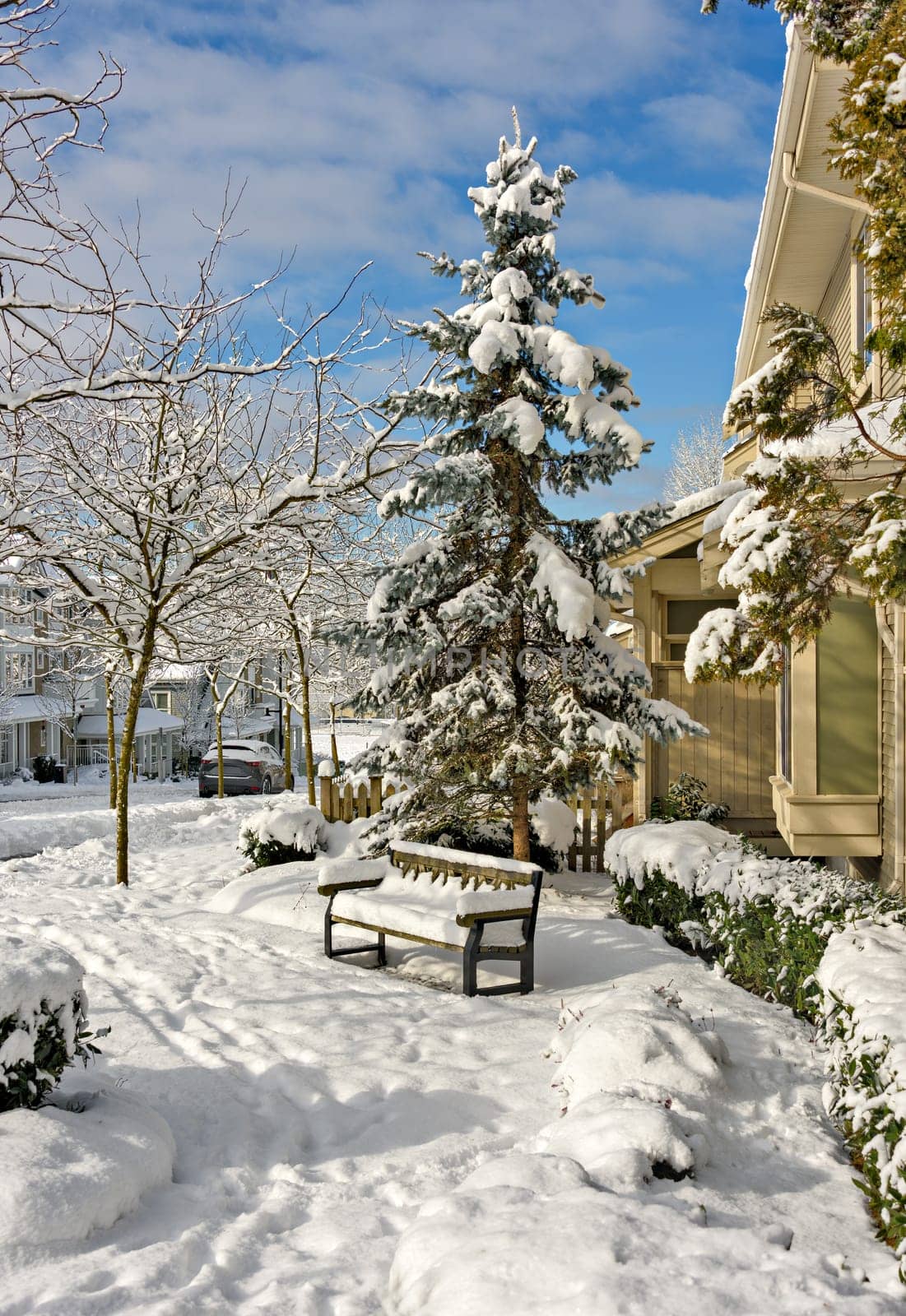 Sunny winter day in residential area of Coquitlam, British Columbia, Canada.