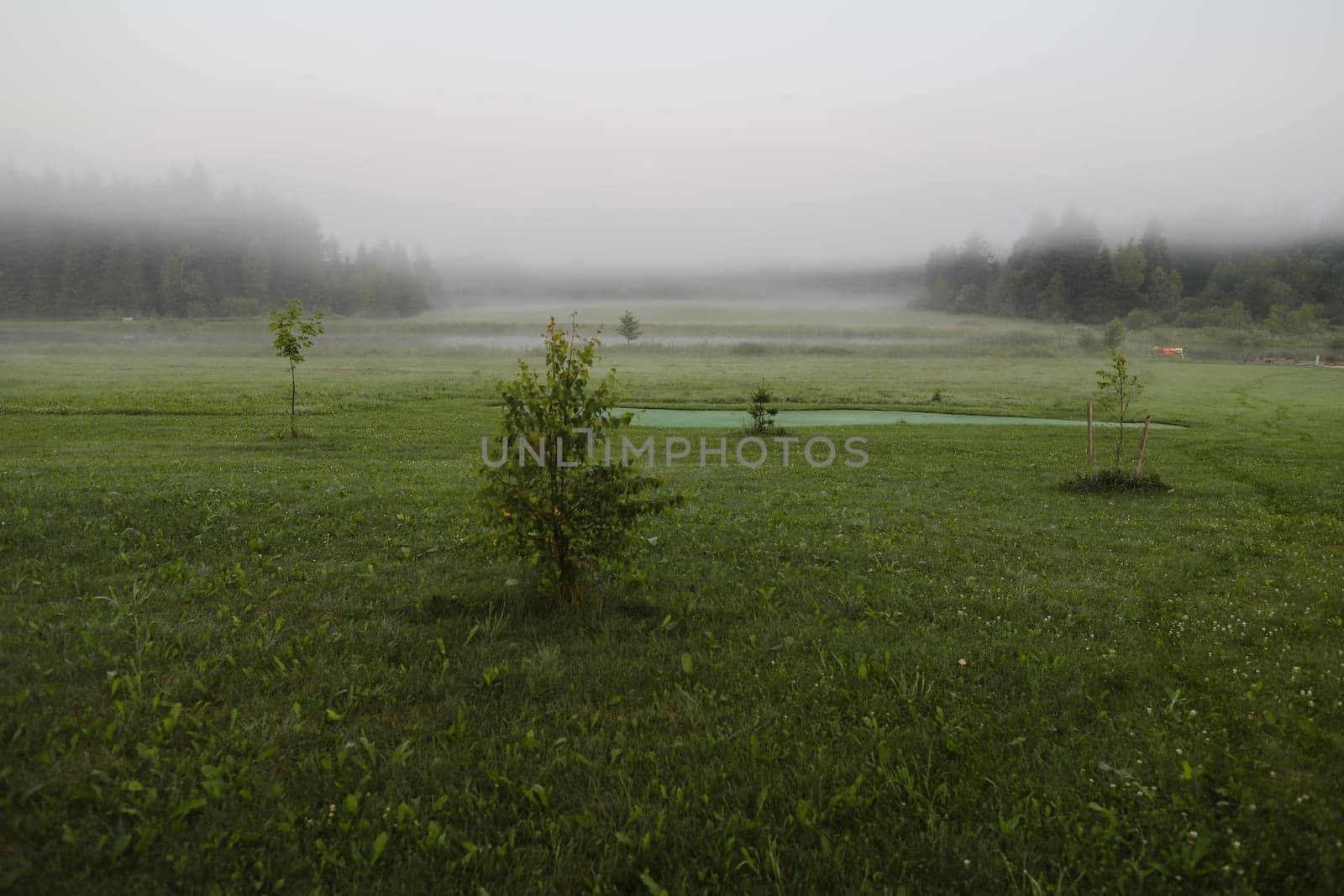 Scenic picturesque landscape view. farmland, meadows and trees in autumn. scenic image of picturesque rural nature in countryside in autumn. Serene peaceful nature countryside. High quality photo