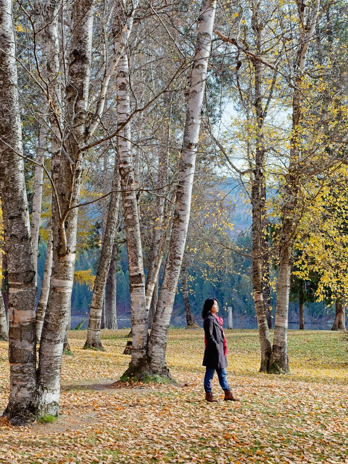 A woman in a stylish coat and a red scarf strolls through a beautiful park in autumn in eastern Washington.