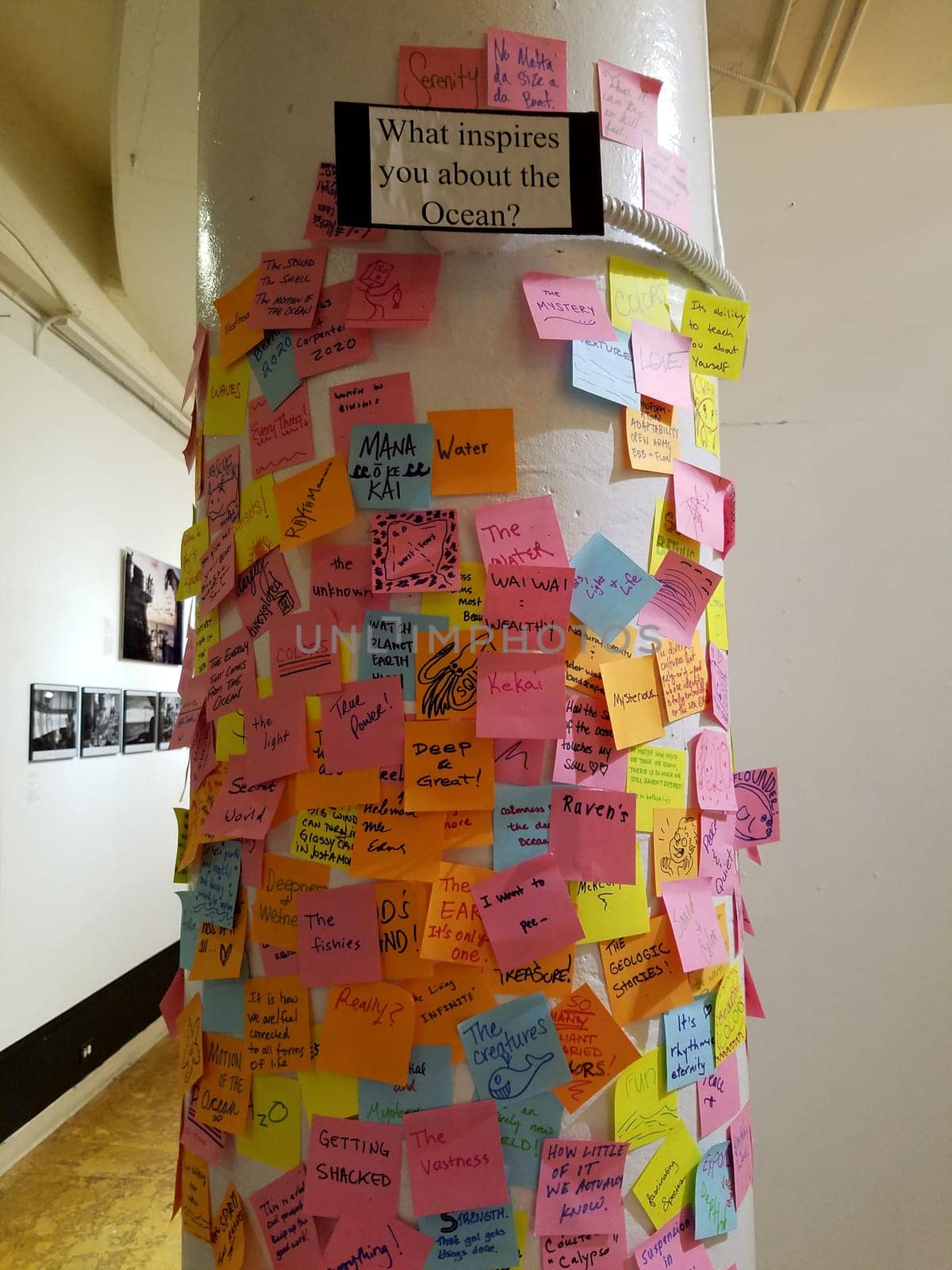 Honolulu - February 3, 2017: A column covered in vibrant sticky notes displays heartfelt responses to the question about ocean inspirations, showcased in an art gallery.