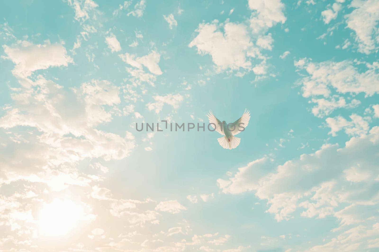 A serene moment captured in the sky, featuring a white dove soaring gracefully against a backdrop of soft clouds and a warm sunset. Perfect for themes of peace and freedom.