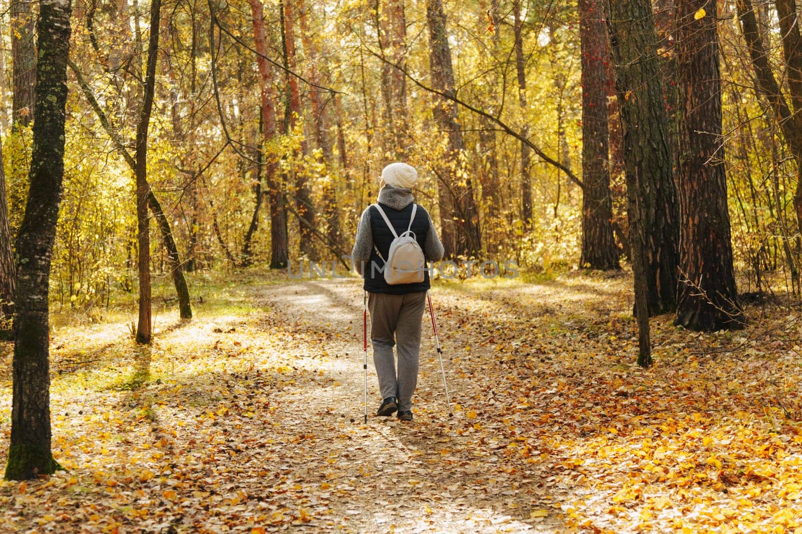 Embracing autumn's beauty through Nordic walking in a tranquil forest trail