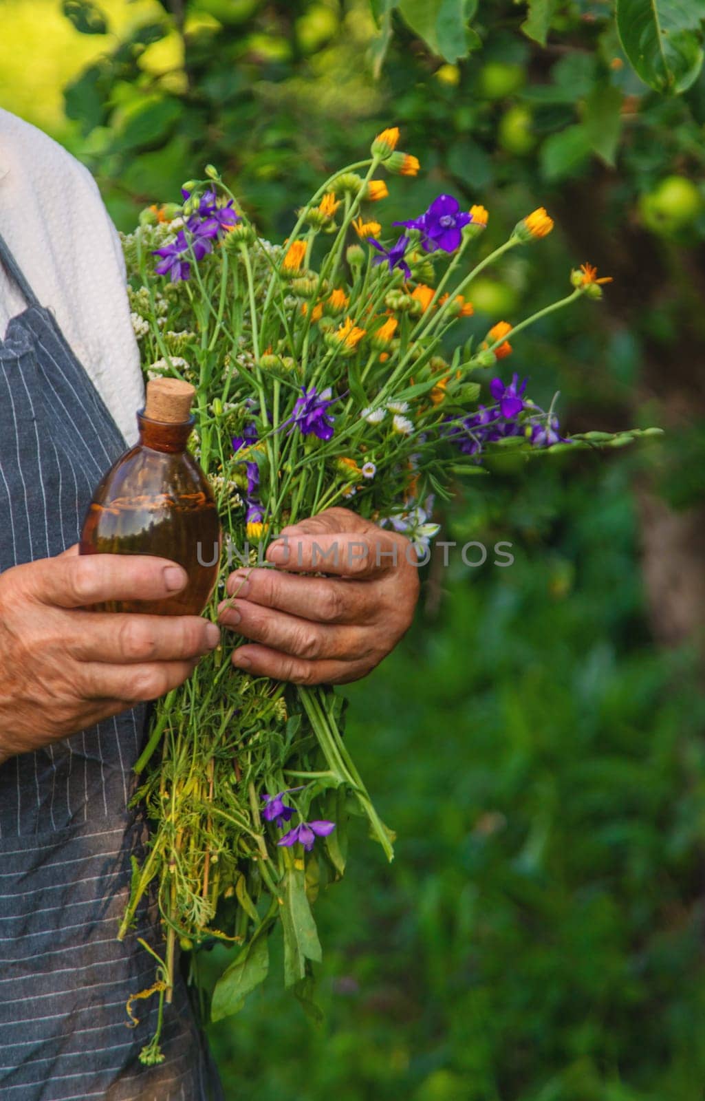 Woman with medicinal herbs in a meadow. Selective focus. nature.