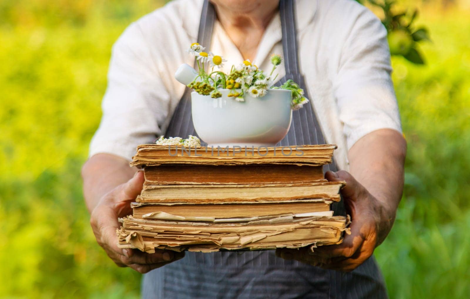 Woman with medicinal herbs in a meadow. Selective focus. nature.