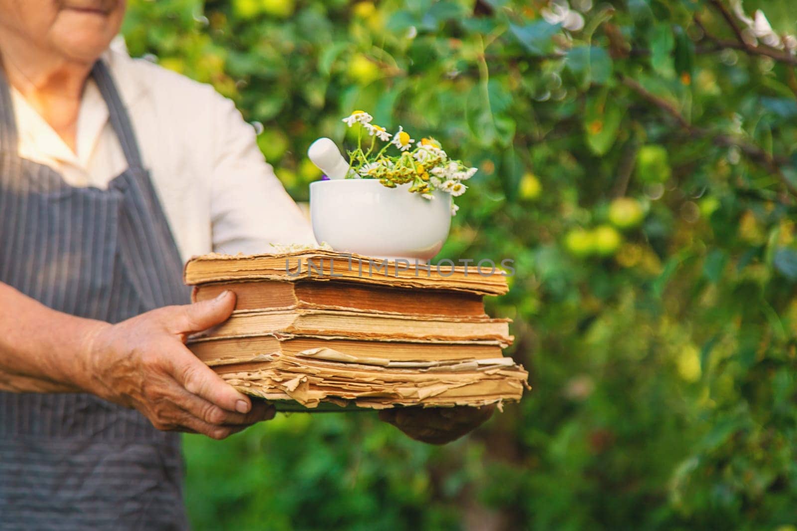 Woman with medicinal herbs in a meadow. Selective focus. nature.