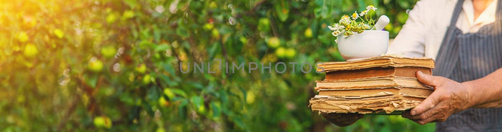Woman with medicinal herbs in a meadow. Selective focus. nature.