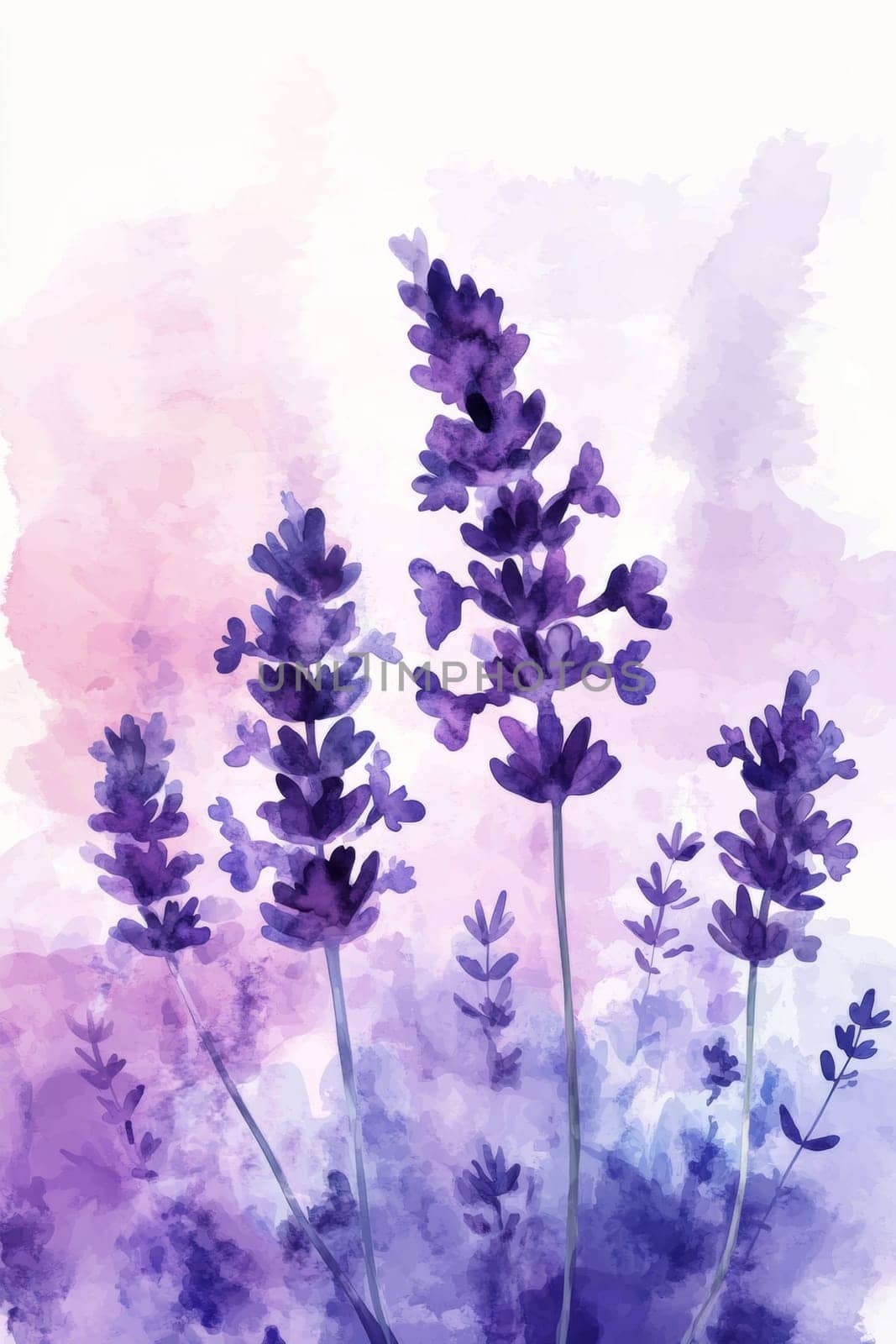 Flowers painted with purple watercolor on white background. High quality photo