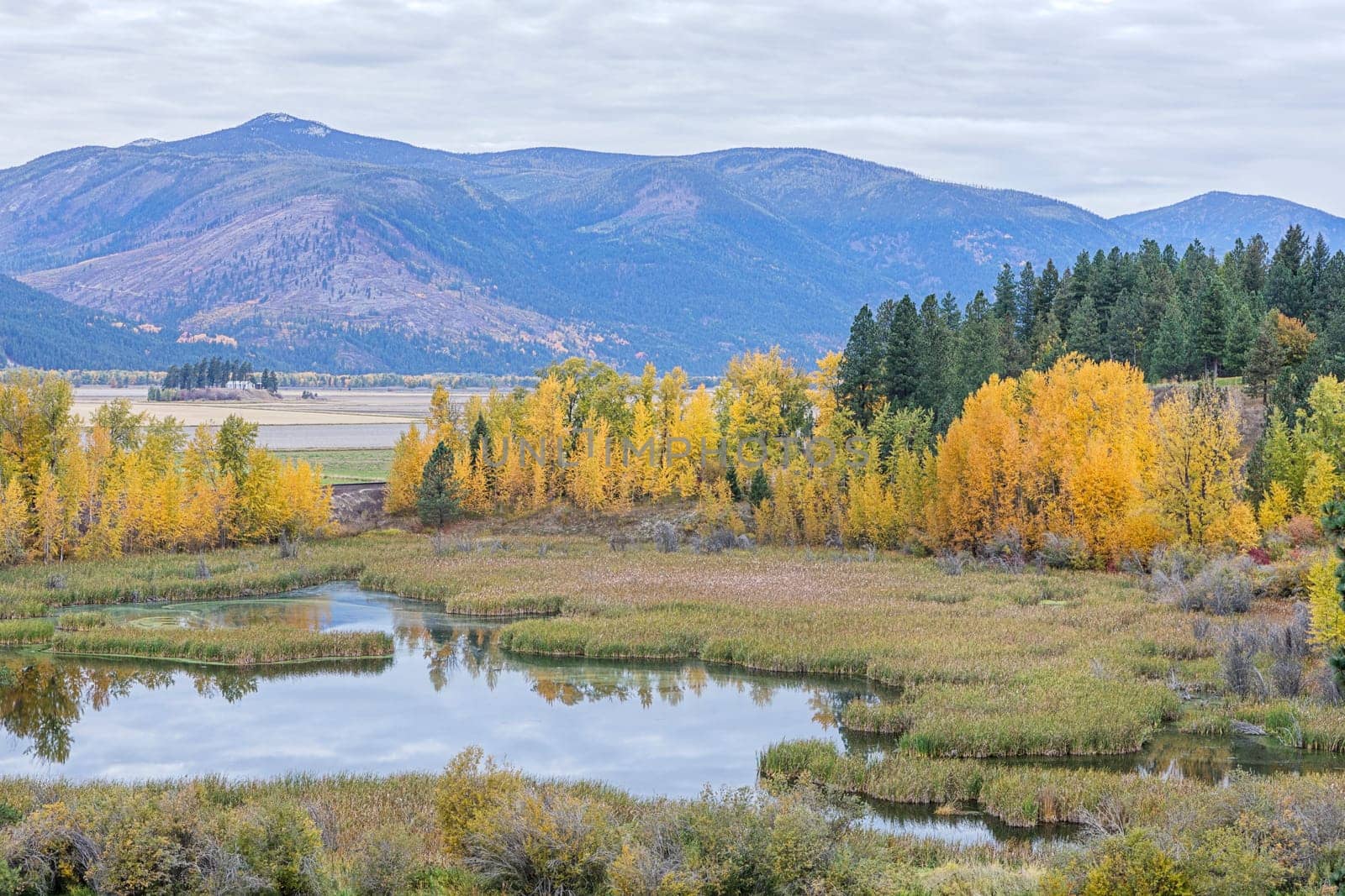 Fall landscape along Deep Creek Loop near Bonners Ferry, Idaho