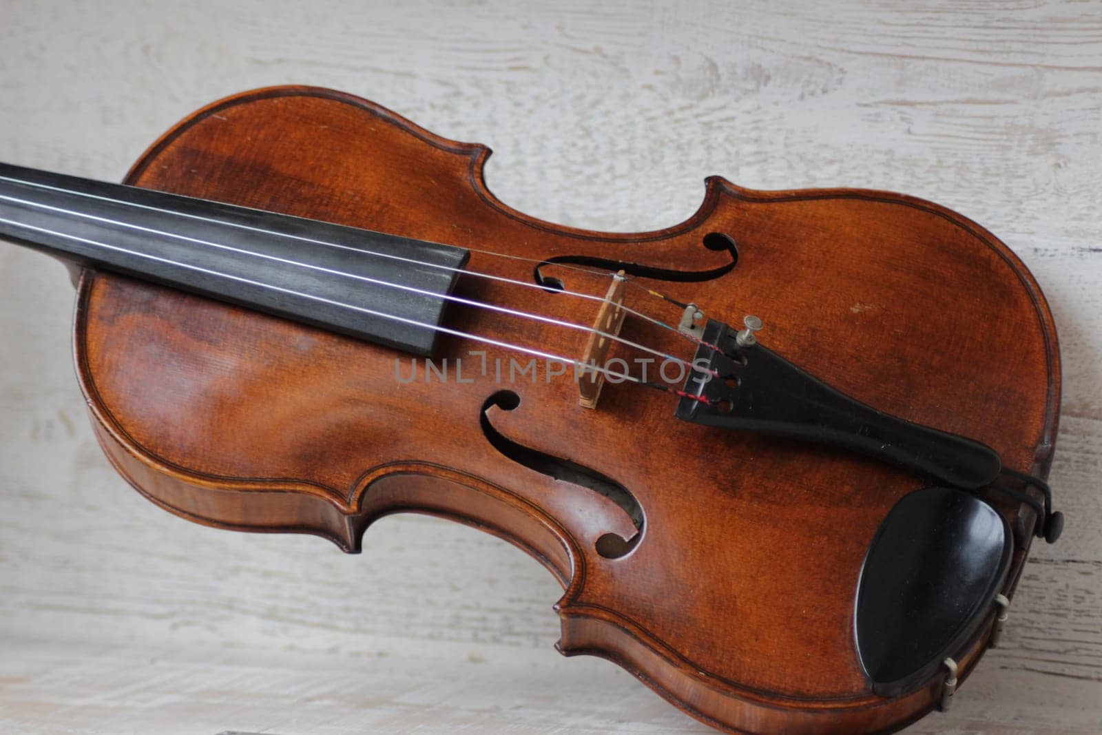violin - an orchestral or solo professional bowed musical instrument with four strings. loved by children and adults. used in classical folk popular and jazz music. High quality photo