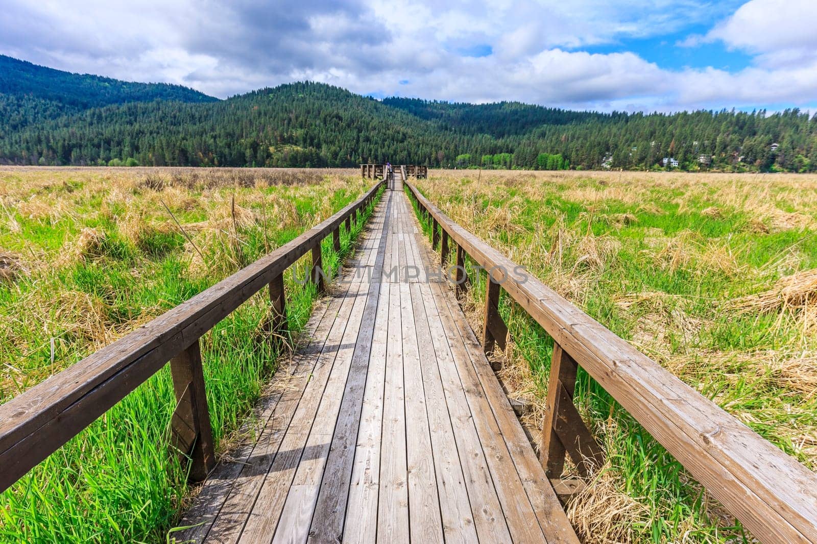 A walking path leads out into a meadow in Liberty Lake, Washington.