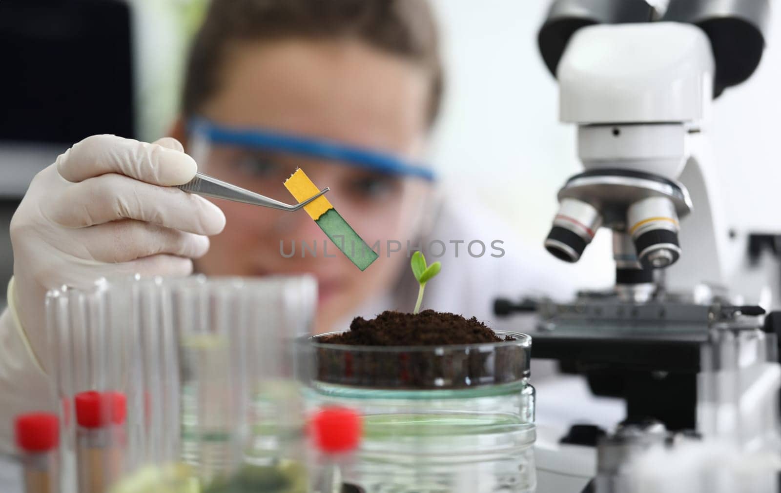 Close-up of small germ in soil. Glass container with green plant leaf. Woman with tweezers holding litmus test. Modern laboratory and investigation. Biology and agriculture concept
