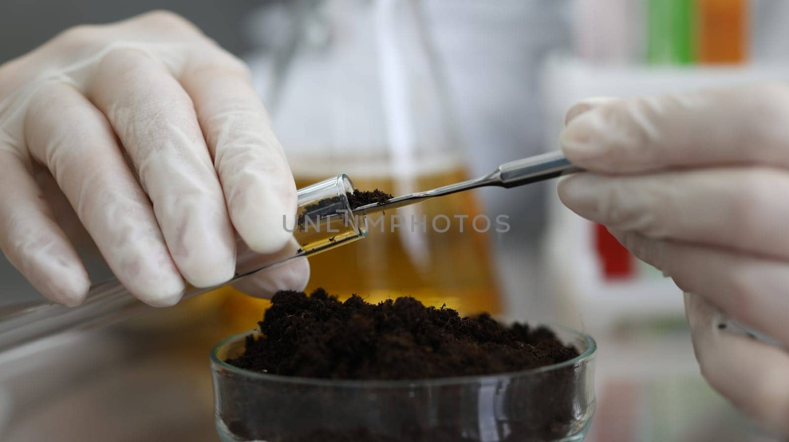 Close-up of plant in laboratory. Biology technician taking material for investigation. Examining with microscope. Glass container with soil. Agriculture and chemistry concept
