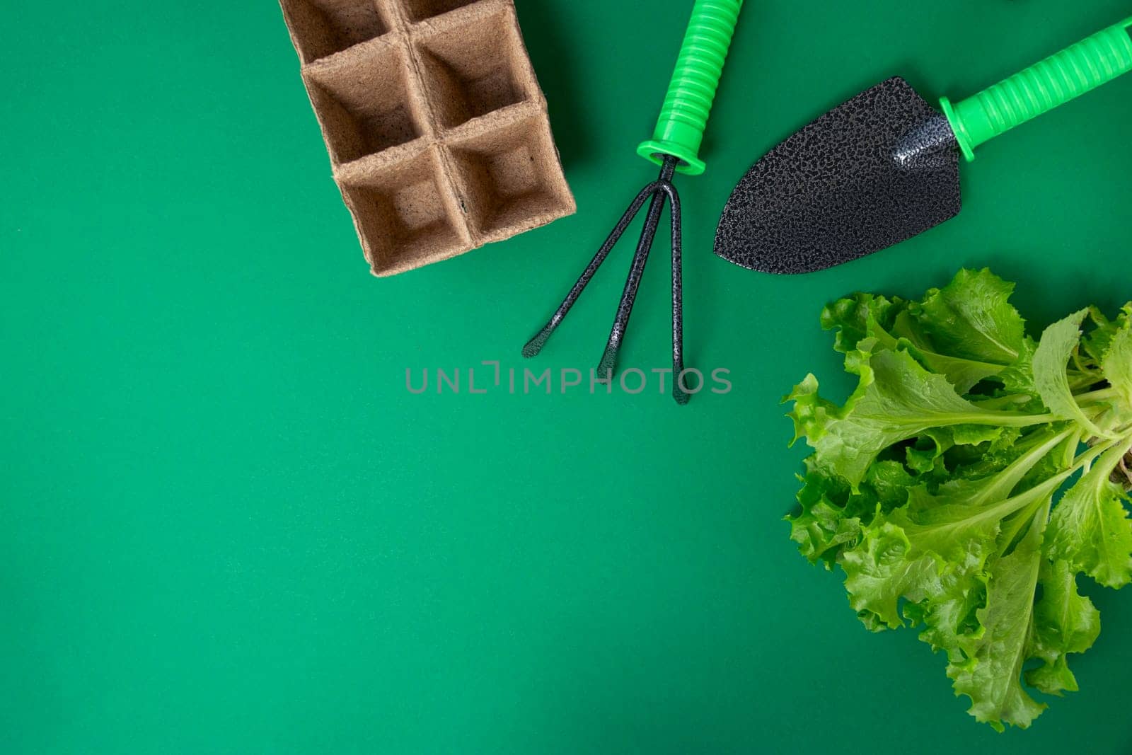 top view with seedlings, rubber gloves, gardening tools on green background by Leoschka