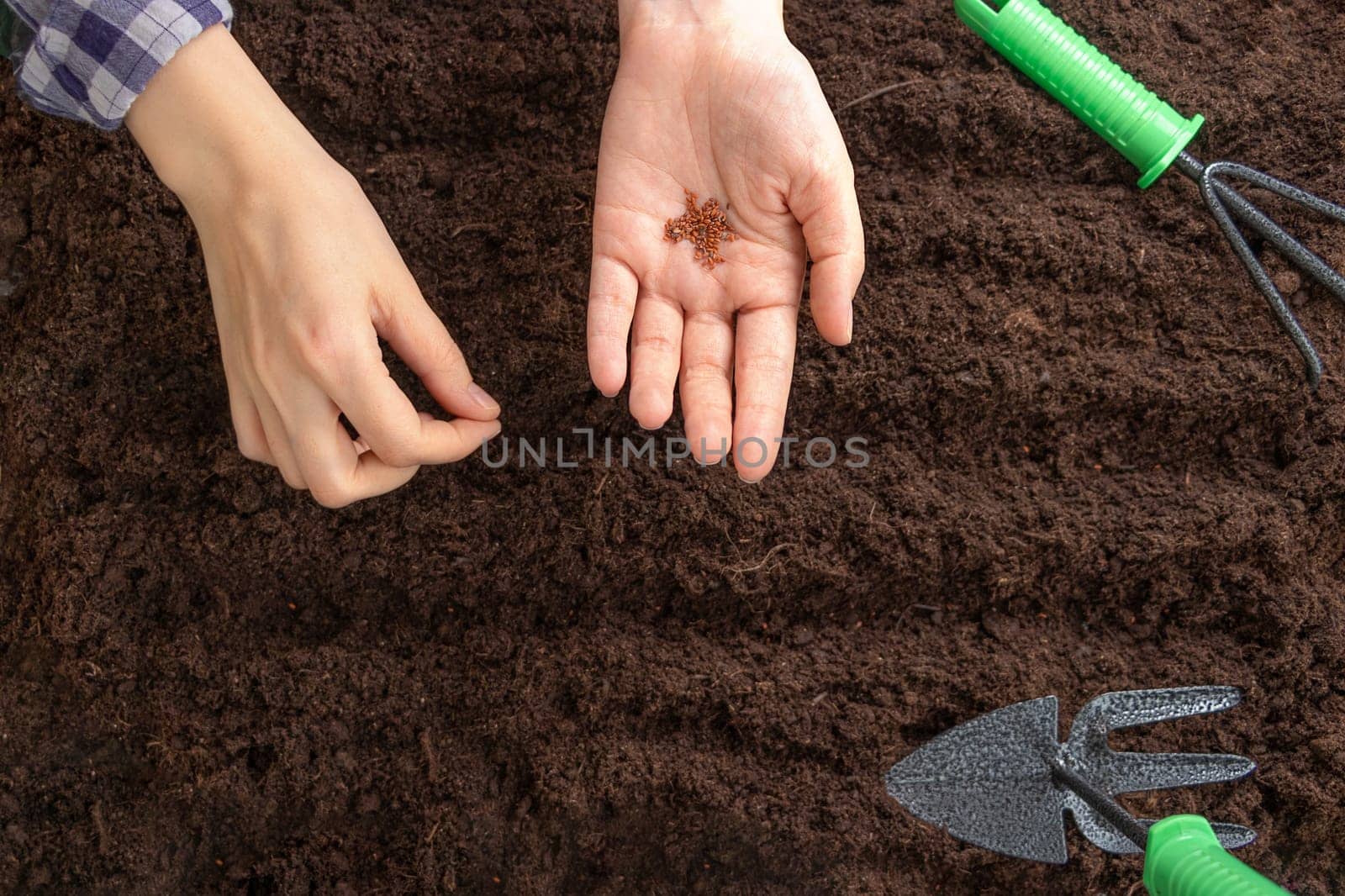 top view of woman's hands planting seeds in the soil by Leoschka