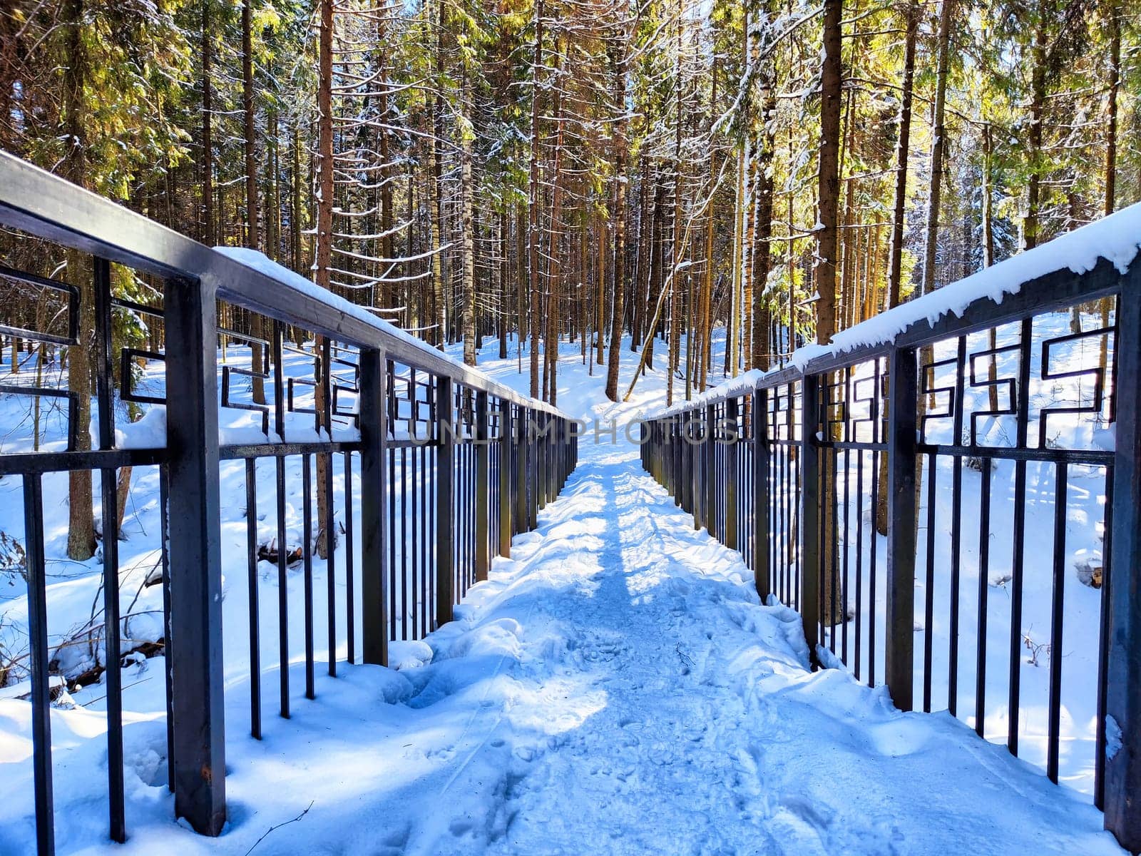 Snow-Covered Bridge in a Pine Forest on a Sunny Winter Day. A bridge blanketed with snow winds through a pine forest under clear blue sky