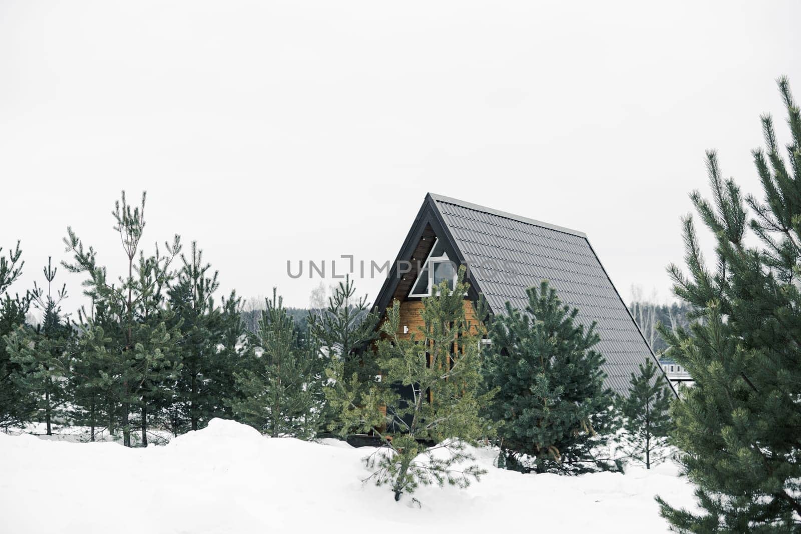 A country house in nature in winter. Rest in an ecologically clean place in winter. Glamping in nature