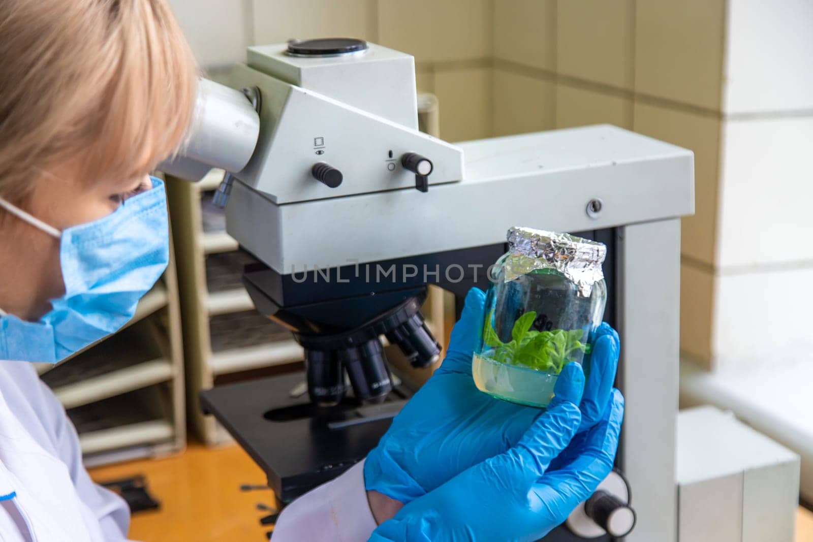 Examine in the laboratory under a microscope. Selective focus. medicine.