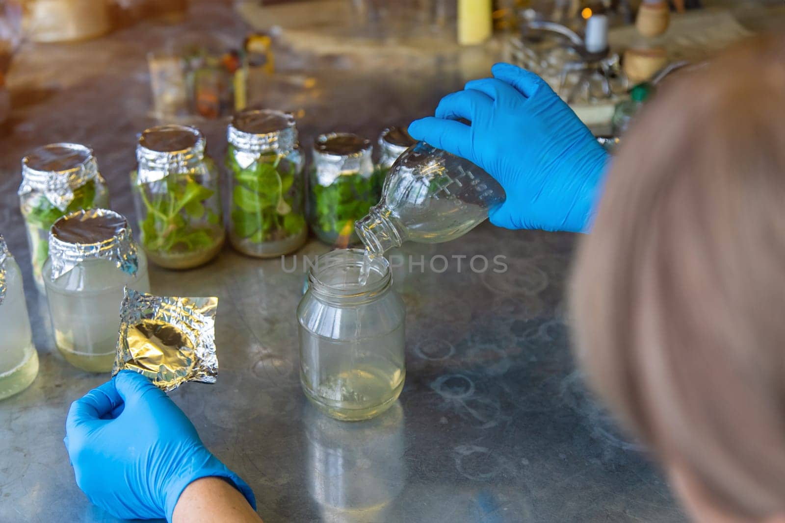 laboratory jars with plants. Selective focus. People.