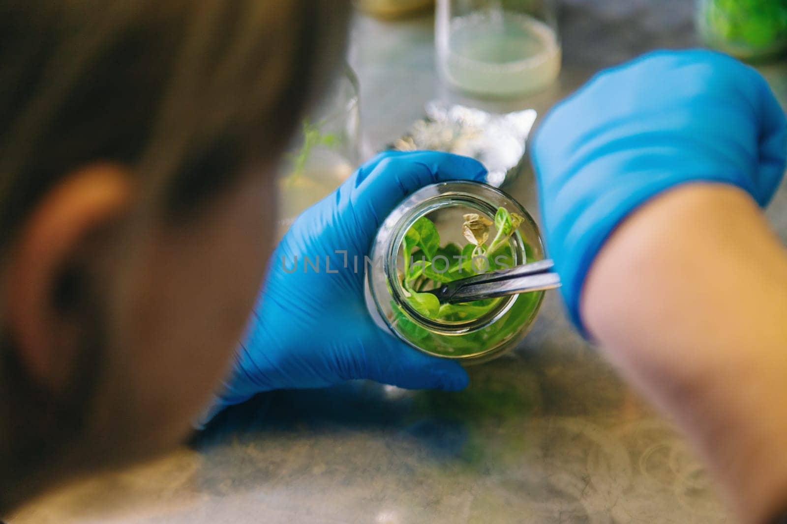 laboratory jars with plants. Selective focus. People.