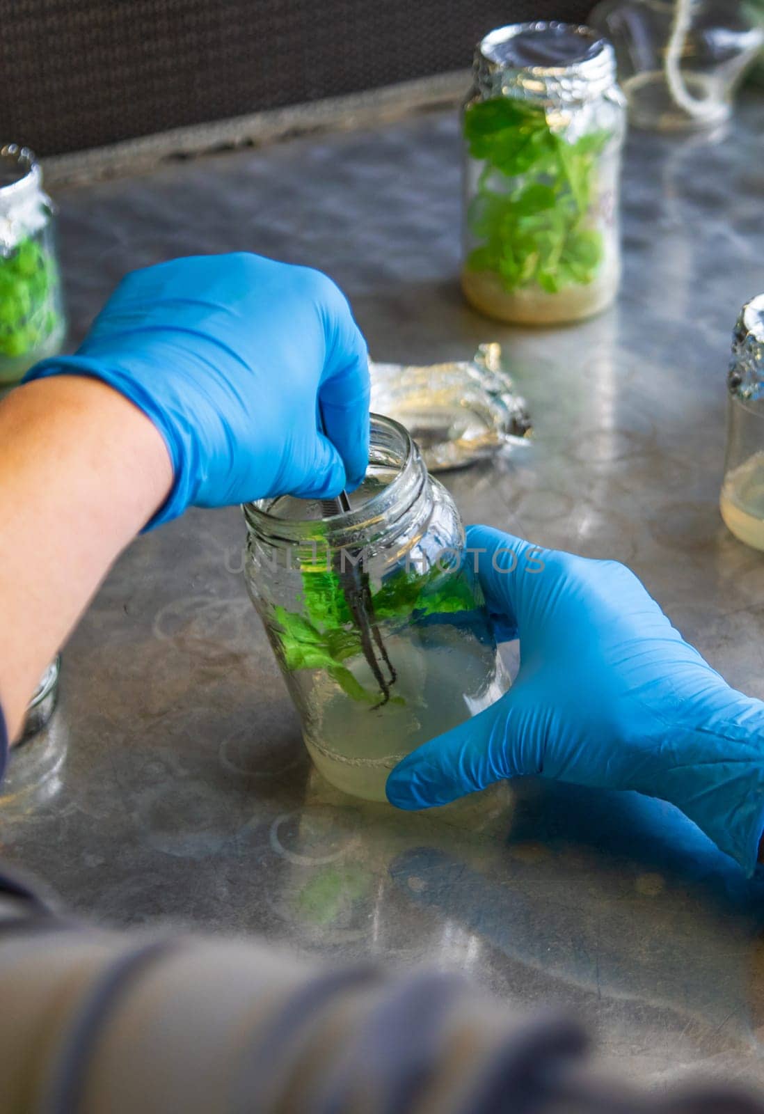 laboratory jars with plants. Selective focus. People.