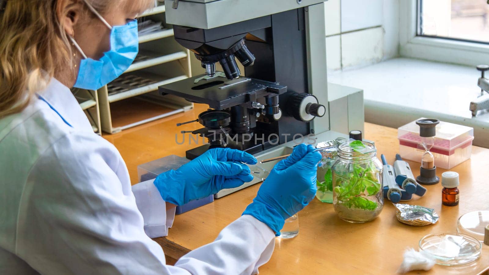 Examine in the laboratory under a microscope. Selective focus. medicine.