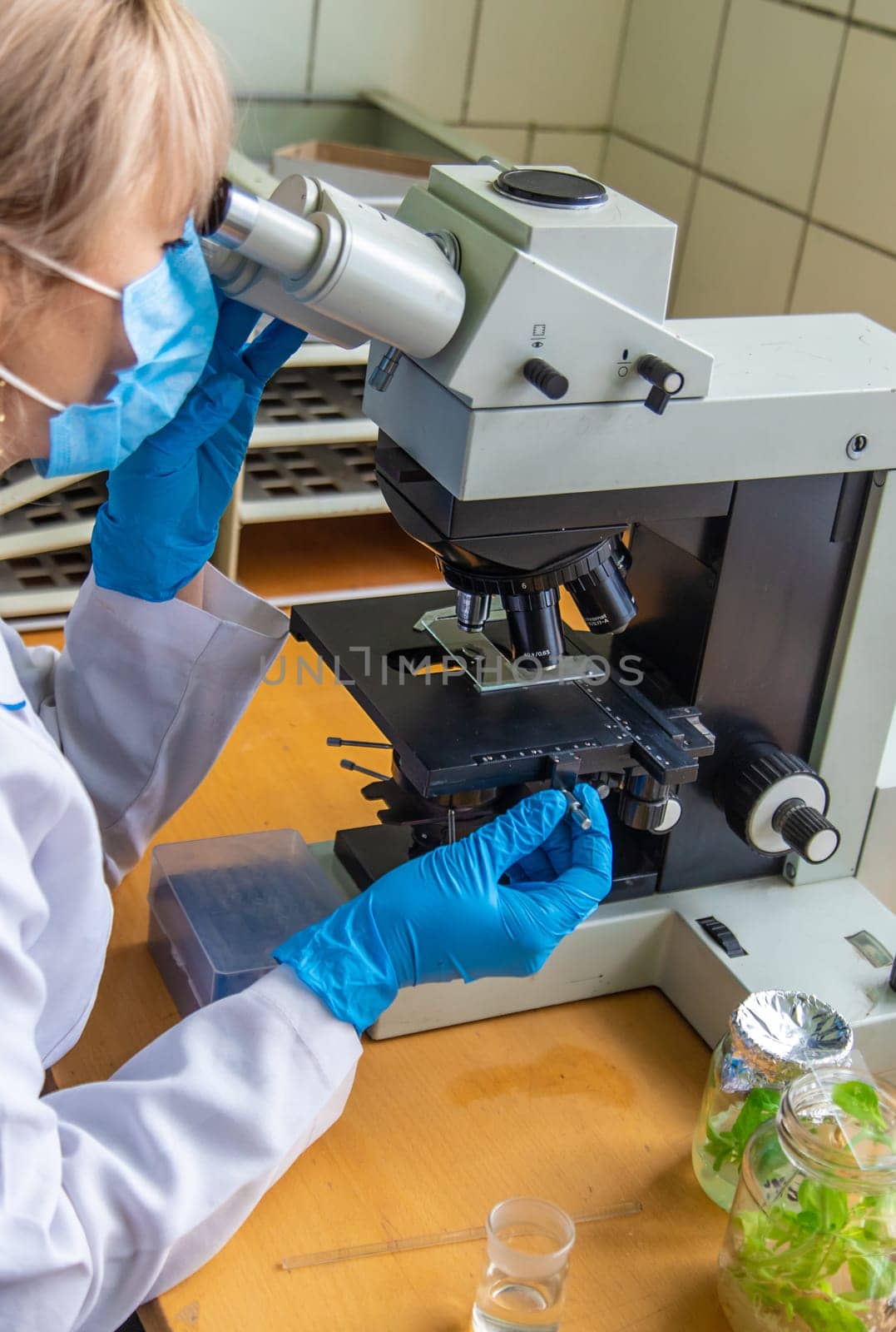 Examine in the laboratory under a microscope. Selective focus. medicine.