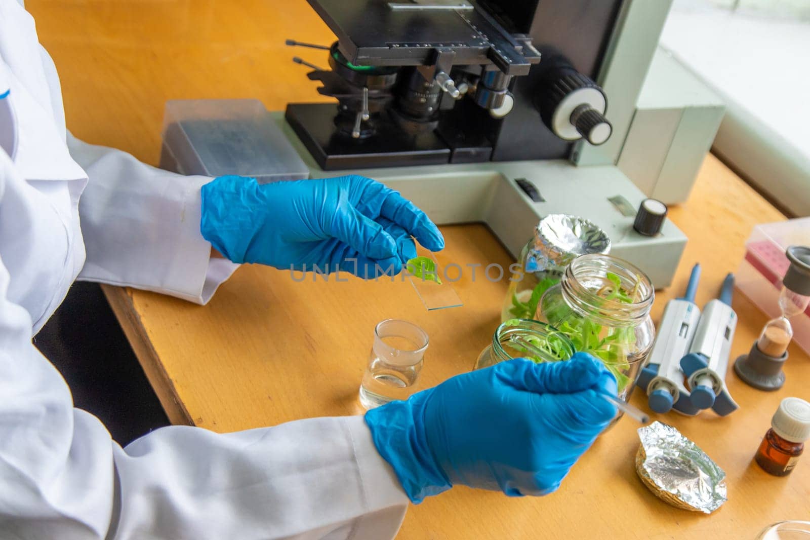 Examine in the laboratory under a microscope. Selective focus. medicine.