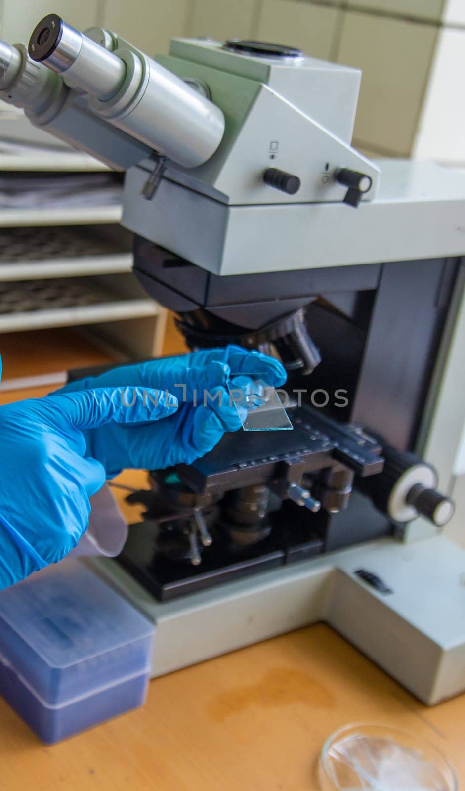 Examine in the laboratory under a microscope. Selective focus. medicine.