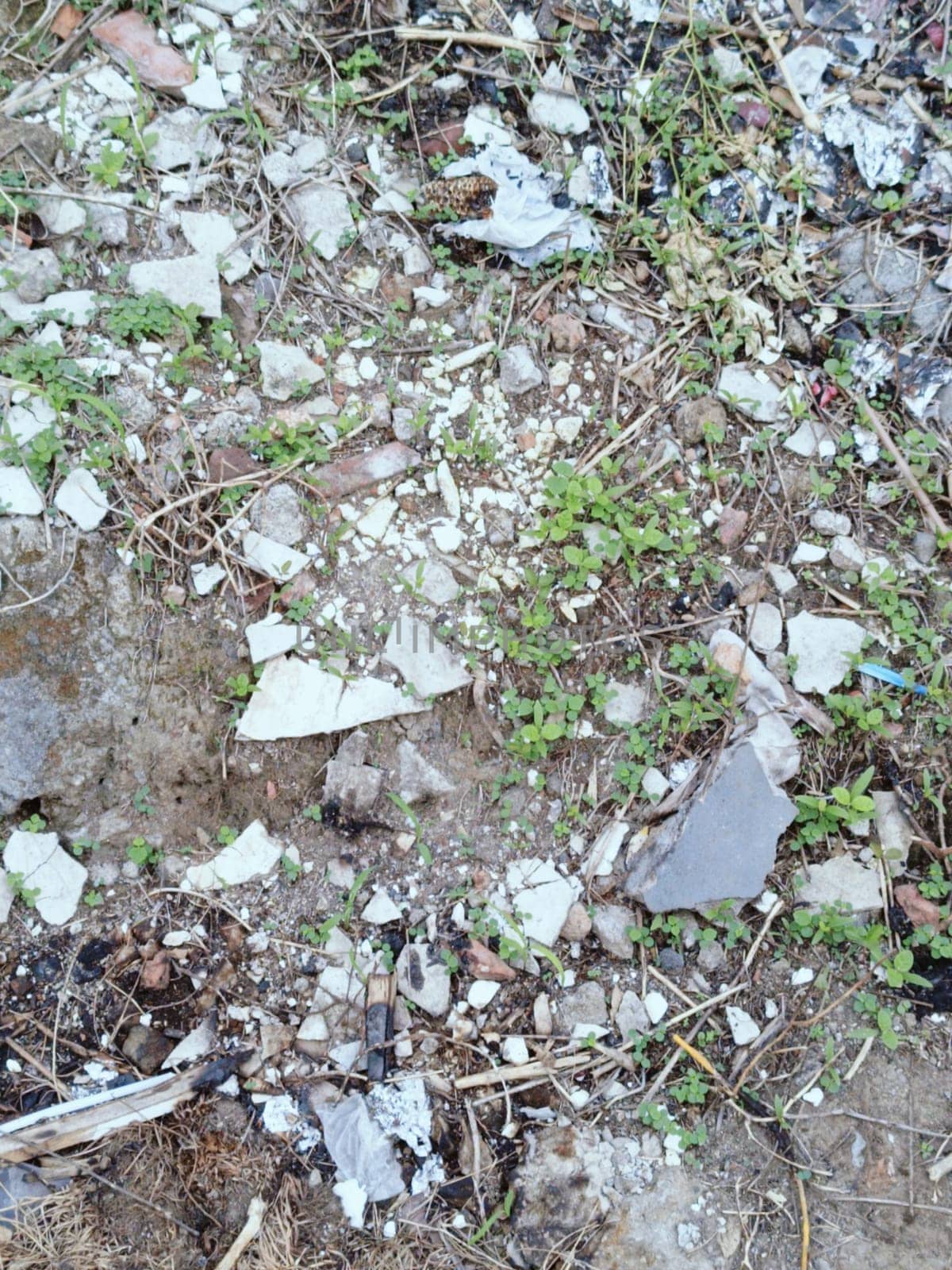 An outdoor scene showing urban debris scattered among rocks and small green weeds. The image conveys concepts of pollution, urban decay, and environmental impact on nature.