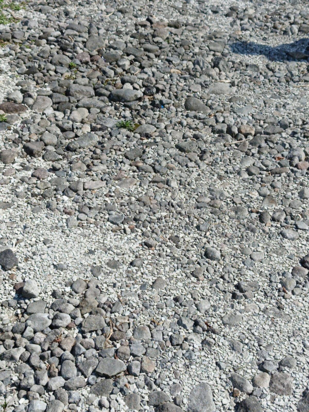 A close-up of a natural riverbed scattered with pebbles and gravel stones, showcasing varied textures and neutral gray tones. Ideal for backgrounds, nature themes, and geological concepts.