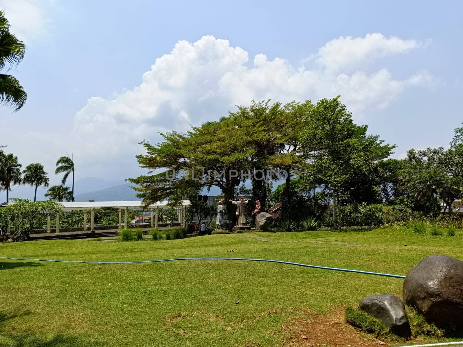 A tranquil garden scene featuring lush greenery, towering trees, and a vibrant blue sky. Ideal for peaceful and nature-themed concepts. Perfect setting for relaxation and outdoor activities.