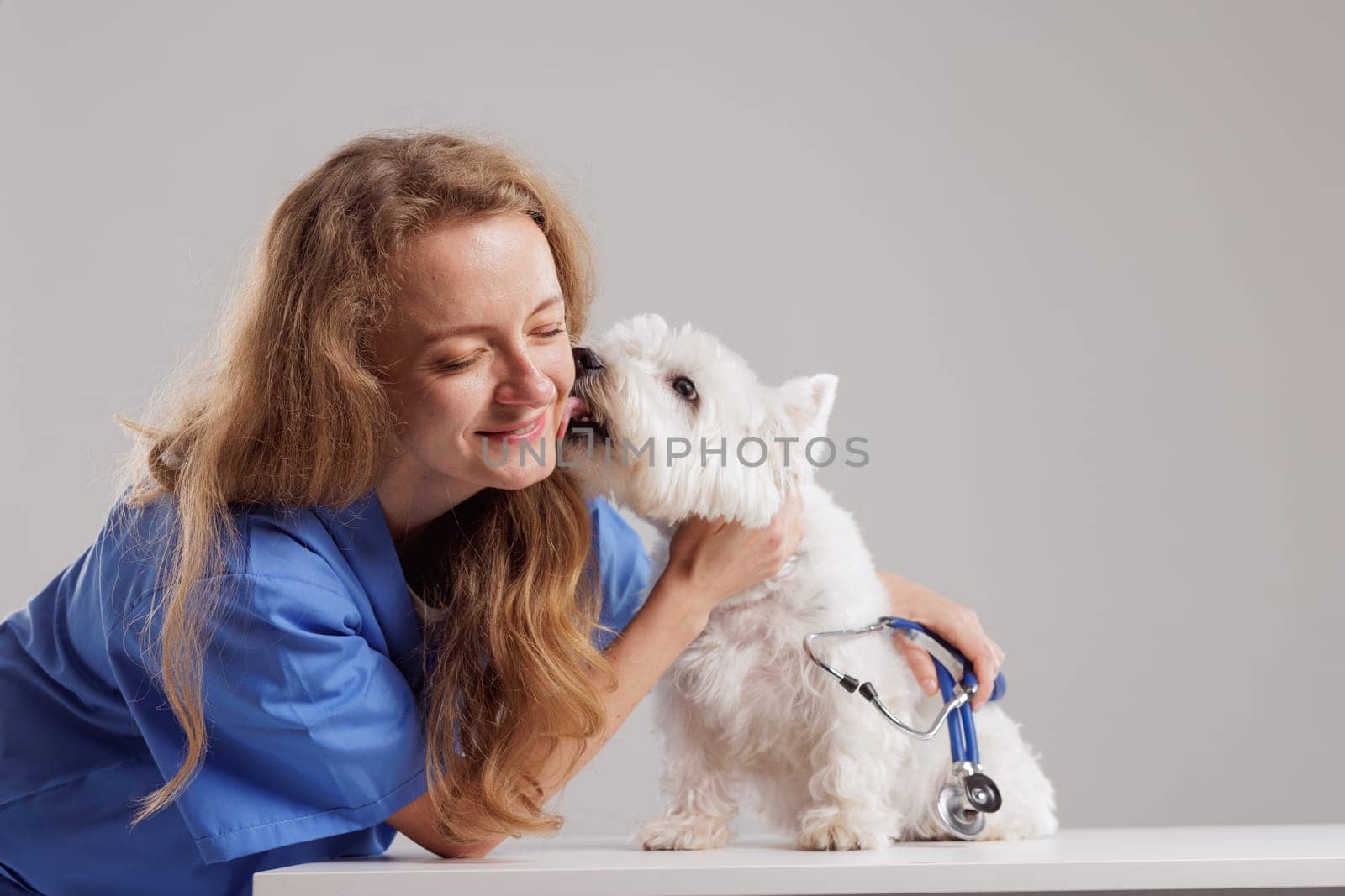 white dog thanks female veterinarian after examination by licking her cheek, on clean white background
