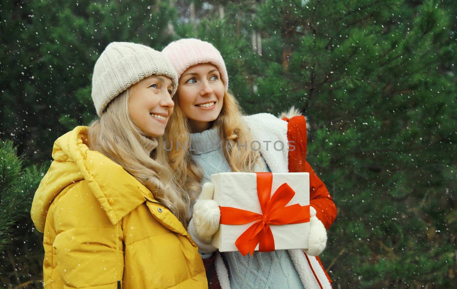 Happy smiling women friends holding festive gift box, celebration, joyful girlfriends together on Christmas tree background in winter forest, wearing hat, jacket outdoors