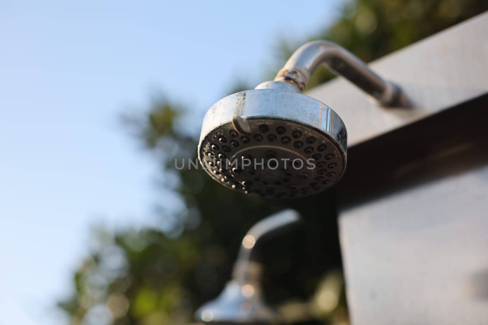 A stunning outdoor shower head beautifully positioned against a clear blue sky and surrounded by lush, vibrant greenery